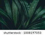 Green leaves. Low key modern style toned background image