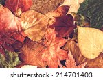 Autumn Leaves Background. 