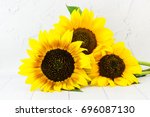 Sunflower. White Background.