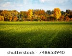 Green Field With Autumnal Trees ...