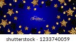 christmas background with stars ... | Shutterstock .eps vector #1233740059