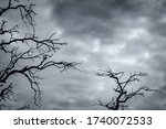 Small photo of Art picture of dead tree with branches. Death, sad, lament, hopeless, and despair background. Drought of the world from the global warming crisis. Natural death. Black and white photo of dead tree.