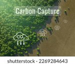 Small photo of Carbon capture concept. Natural carbon sinks. Mangrove trees capture CO2 from the atmosphere. Aerial view of green mangrove forest. Blue carbon ecosystems. Mangroves absorb carbon dioxide emissions.