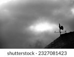 Small photo of One weathercock on a roof