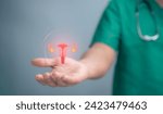 Small photo of Medical worker holding virtual uterus reproductive system. Woman health concept, PCOS, ovary gynecologic and cervix cancer. Medical examination, women's consultation, obstetrics, pregnancy.