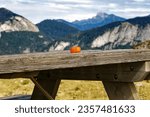 Small photo of Picnic table with Mirabelle plums overlooking the Alpine mountains