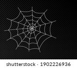 spider web cobweb vector icon ... | Shutterstock .eps vector #1902226936