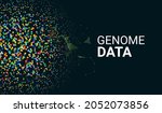 genome genetic data sequence... | Shutterstock .eps vector #2052073856