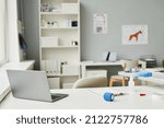 Small photo of Workplace of veterinarian with laptop, plastic bottle, pipette, blue bandage and document in contemporary veterinary clinics
