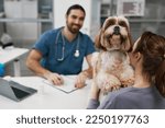 Fluffy patient of modern veterinary clinics standing by his owner communicating with vet doctor during consultation in medical office