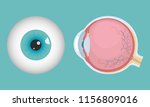 Human Eyeball Icon. Human Eye...