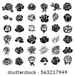 set of rose silhouettes design... | Shutterstock .eps vector #563217949