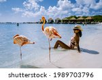 Aruba Beach With Pink Flamingos ...