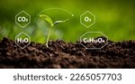 Small photo of Representation of chemical reactions in the photosynthesis process with formulas of carbon dioxide, water, oxygen and glucose placed around just emerged plant on fertile soil