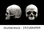 Human skull in different angles....