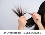 Female hair with split ends on a white background.