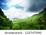  Jungle Of Seychelles Island