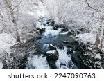 View Of The Snow Forest Rivers. ...