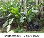 Small photo of Tires left in the nature, lack of respect for the earth.