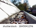 Small photo of A portrait of a roof gutter clogged by many fallen fall leaves hanging from a slate roof. This is a typical annual chore during or after autumn to clean the gutter.