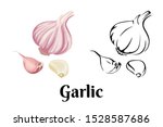garlic isolated on white... | Shutterstock .eps vector #1528587686