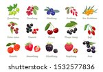 set of vector berries isolated. ... | Shutterstock .eps vector #1532577836