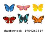 Set Of Butterflies Of Different ...