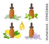 set of essential oil in amber... | Shutterstock .eps vector #1934018666