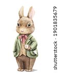 Watercolor Vintage Boy Bunny...