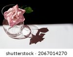 Single Small Pink Rose In Vase...