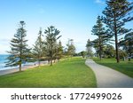 View of the park at Torquay Front Beach, a popular tourist attractions along the Great Ocean Road. Beautiful waterfront nature reserve with pedestrian walkway and trees. Torquay VIC Australia.