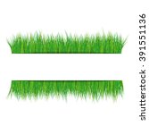 frame with green grass on white ... | Shutterstock . vector #391551136