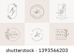 logo templates set. elegant... | Shutterstock .eps vector #1393566203