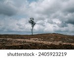 
Deforestation Clear Land and Sky at Riau Sumatra Indonesia