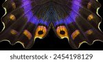 Bright colorful wings of...