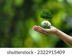Small photo of Global sustainable environment concept - ESG, net zero, eco, co2, carbon, human hand holding green globe orb with growing tree save our planet, world environment day, earth day and climate change