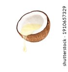 Small photo of Coconut oil dripping from coconut fruits cut in half isolated on white background.