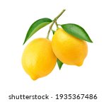 Two Lemon Fruits Hanging With...