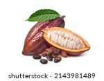 Small photo of Fresh Cocoa pods with dried beans isolated on white background.
