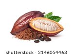Cocoa powder with cocoa beans and pods isolated on white background.