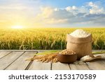 White rice and paddy rice with rice field background.