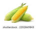 Fresh yellow corn isolated on...