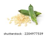Close-up white sesame seeds with fresh pods isolated on white background. 