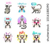 lemur emotions set of similar... | Shutterstock . vector #1016188390