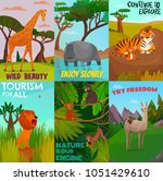 set of cartoon colored cards... | Shutterstock .eps vector #1051429610