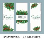 conifer vertical banners set... | Shutterstock .eps vector #1443669896