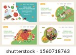 organic food web isometric web... | Shutterstock .eps vector #1560718763