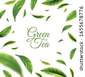 green tea background with frame ... | Shutterstock .eps vector #1655678776