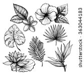 tropical leaves set | Shutterstock . vector #363044183