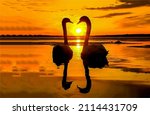 Silhouettes Of Two Swans At...